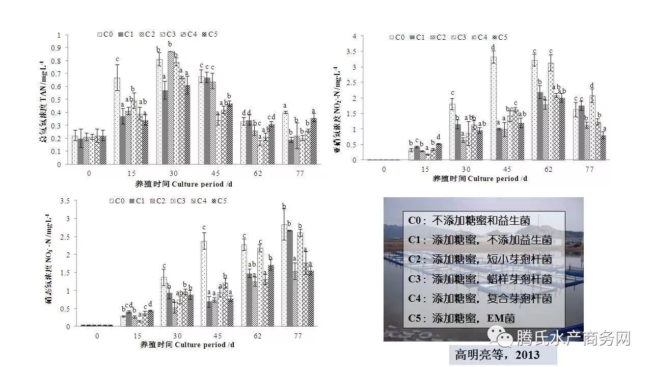 最新浮力限制研究，理论与应用进展