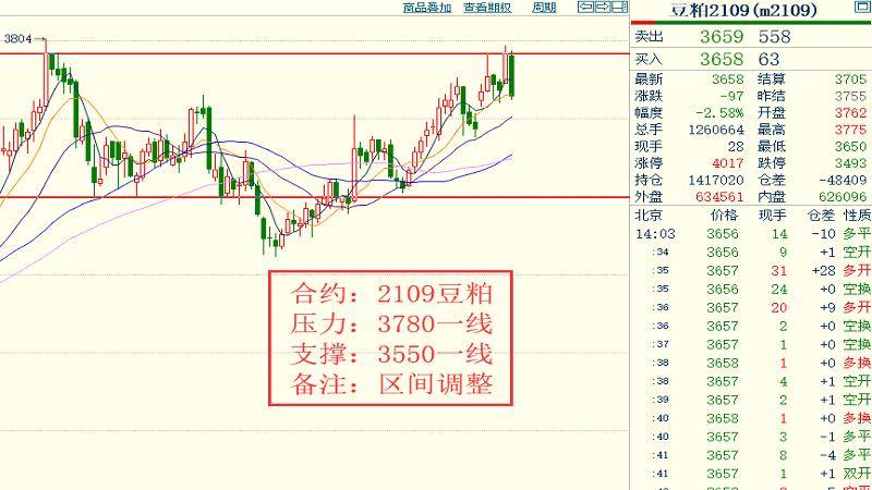 渐澳门一码一肖一持一，全面解答解释落实_u549.25.81