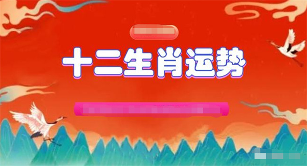 一肖一码精准，全面解答解释落实_wks69.43.65