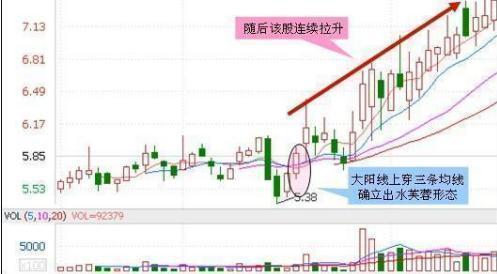 2024澳门特马今晚开奖53期，精准解答解释落实_b714.98.84