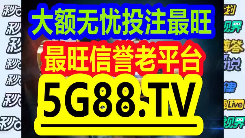 管家婆一码中一肖2024，深度解答解释落实_zf60.06.67