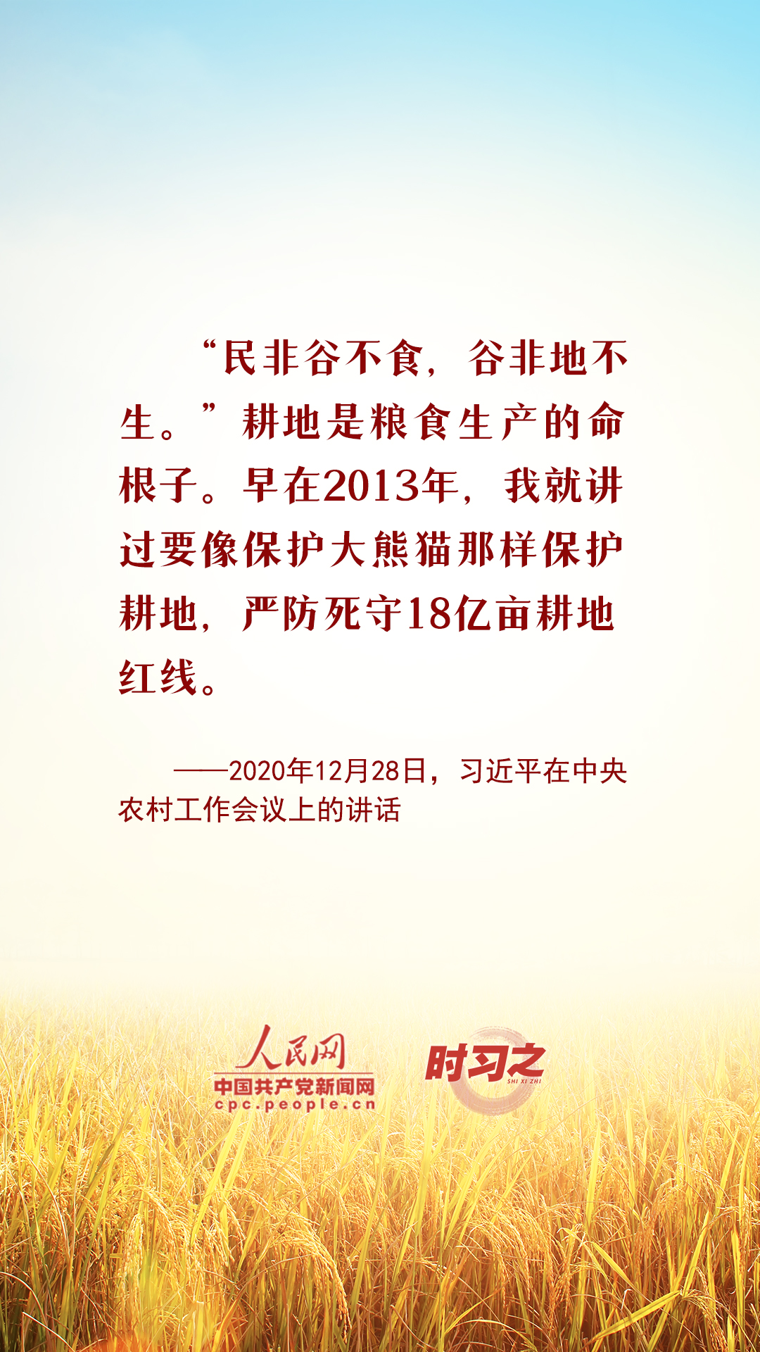 金秋丰收一地金，虎视耽耽出绿林打一精准生肖，时代解答解释落实_0j230.79.24