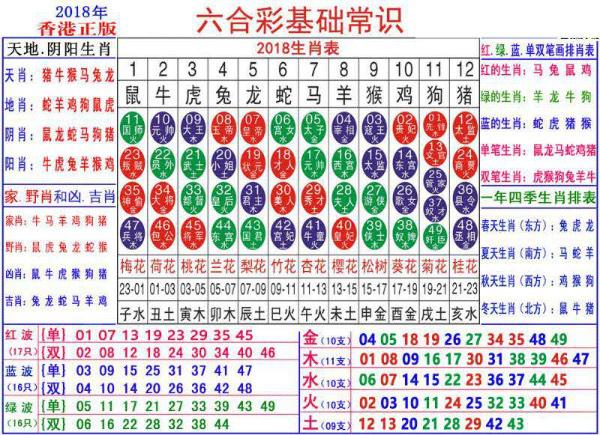 澳门正版资料大全资料生肖卡，定量解答解释落实_m532.20.24