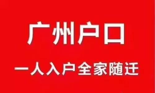 新澳门管家婆一句话，前沿解答解释落实_vw62.95.89