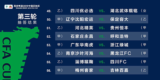 2024年澳门今晚必开一肖，深度解答解释落实_qp40.01.25